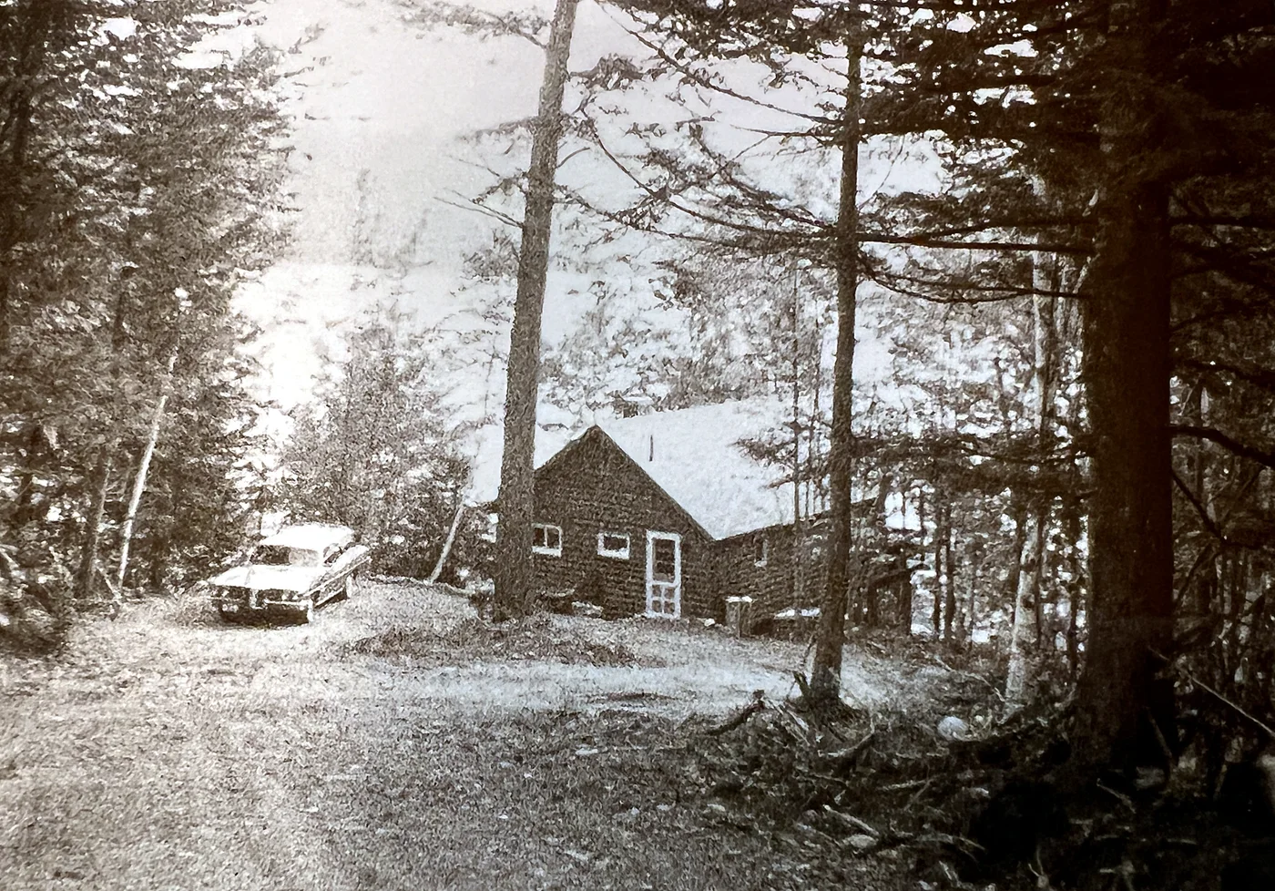 The young Lodge, from Christmas Lane.